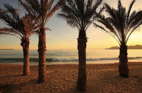 Suquet26 Daire Cannes Dış mekan fotoğraf